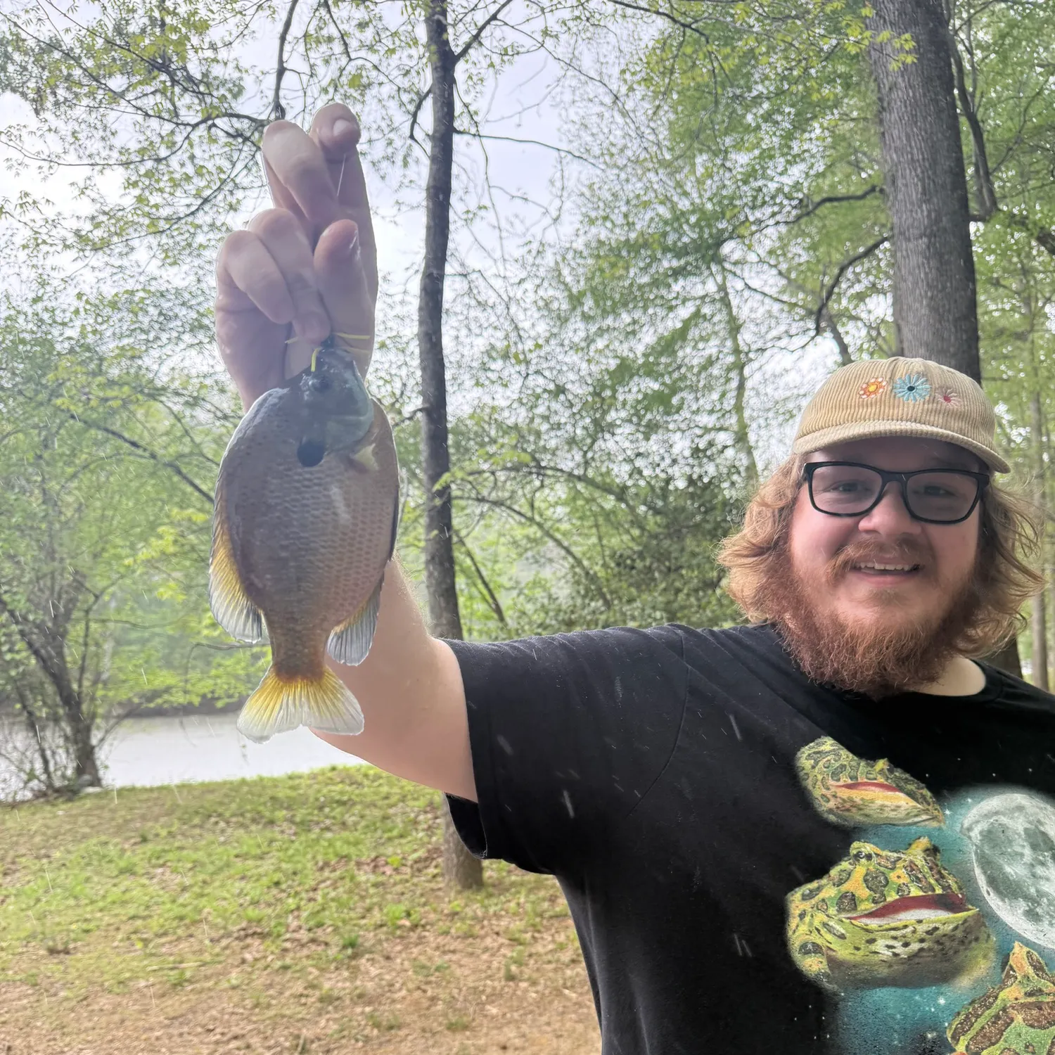The most recent Bluegill catches on Fishbrain
