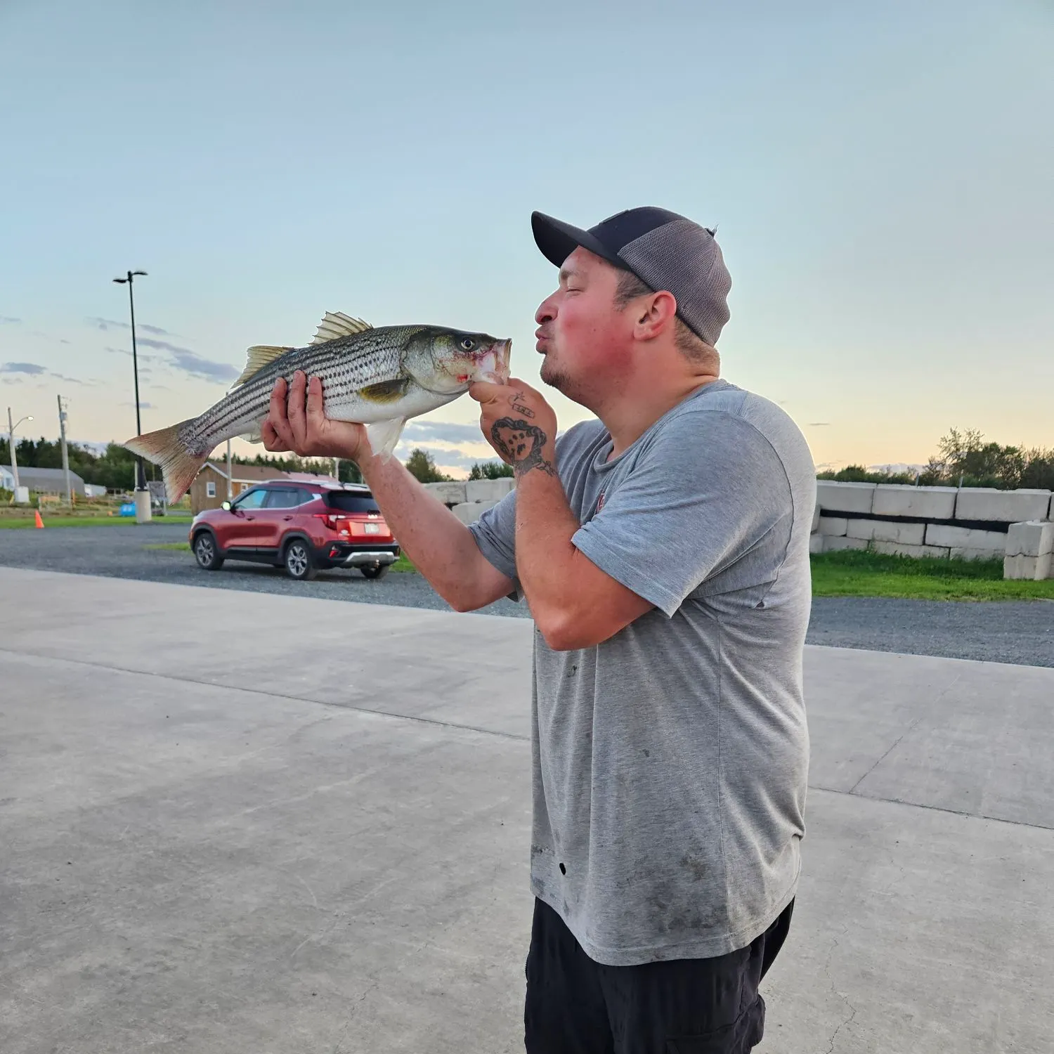 Striped bass caught on Fishbrain