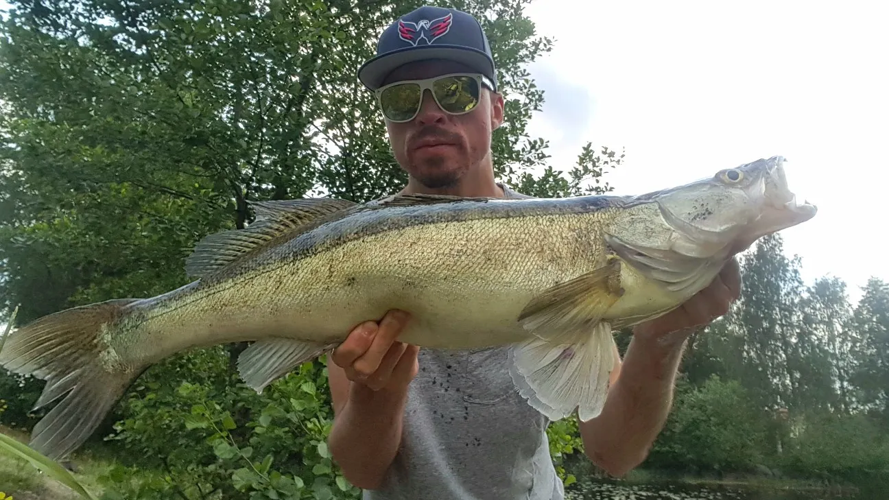 Post image from JPsson