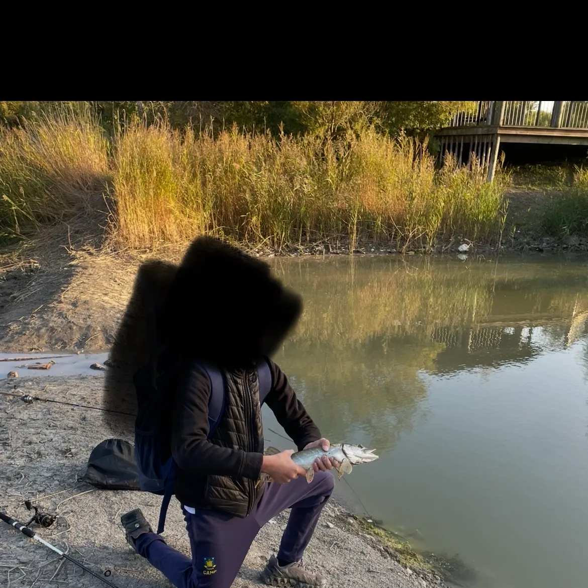 Northern pike caught on Fishbrain