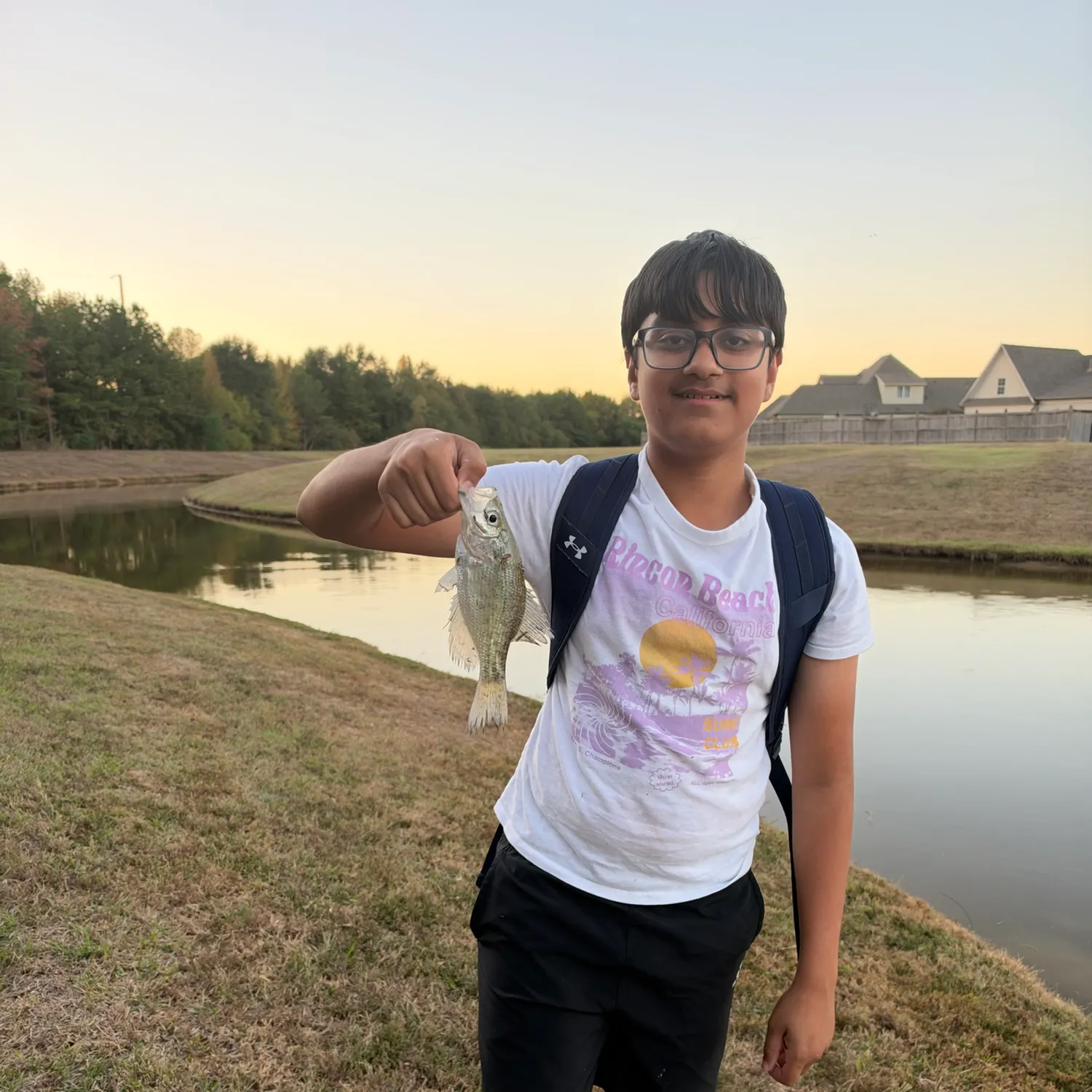 White crappie caught on Fishbrain