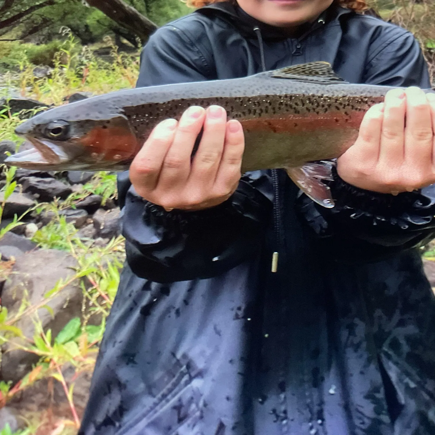 Rainbow trout caught on Fishbrain