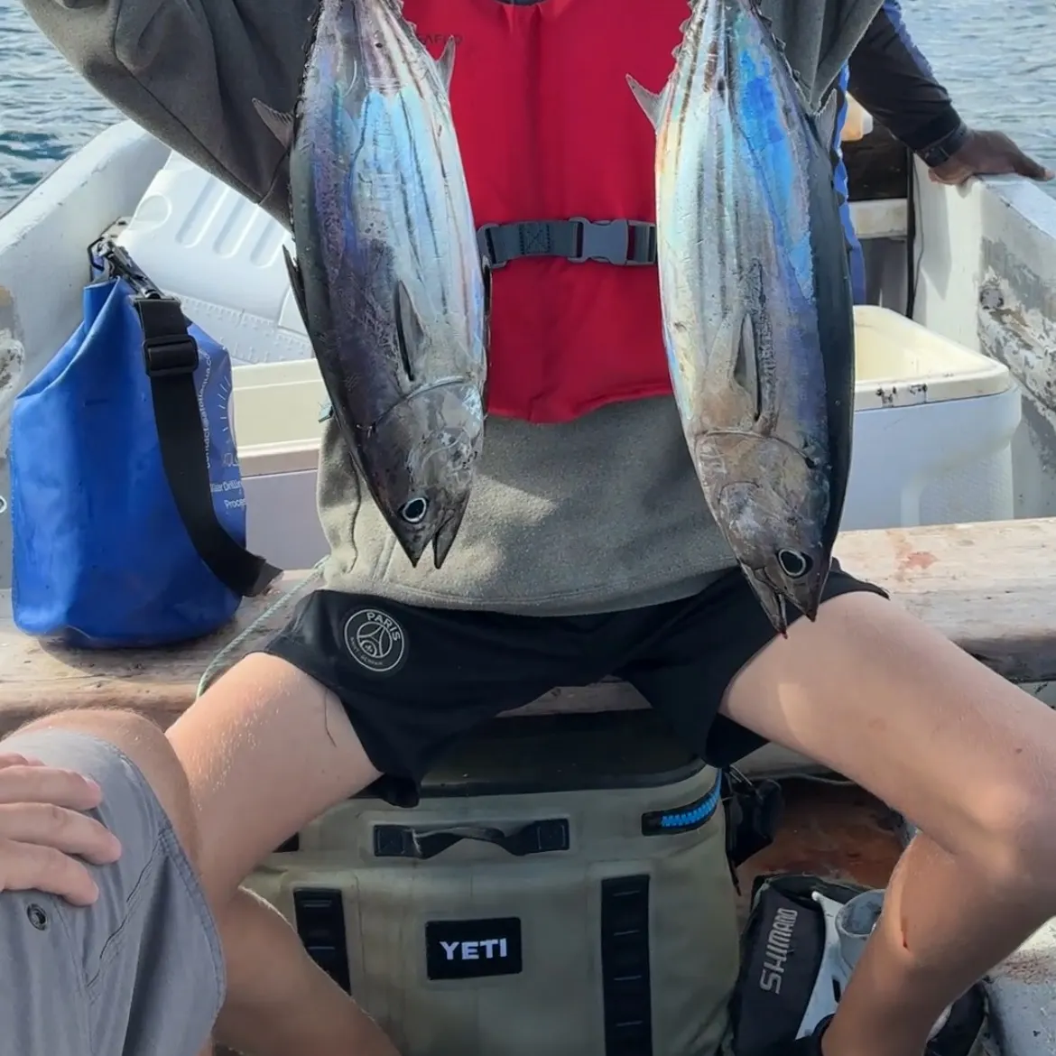 The most recent Skipjack tuna catches on Fishbrain