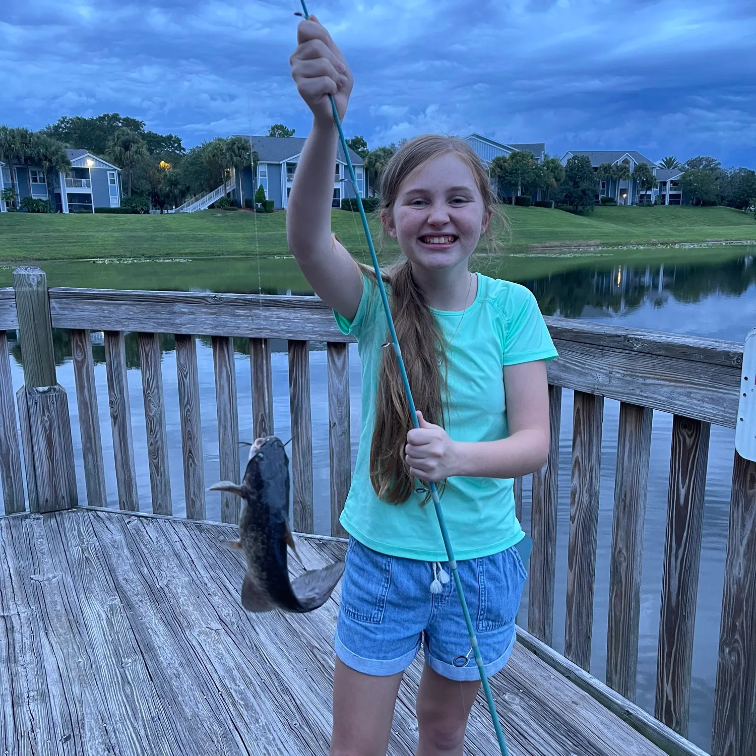 Brown bullhead caught on Fishbrain