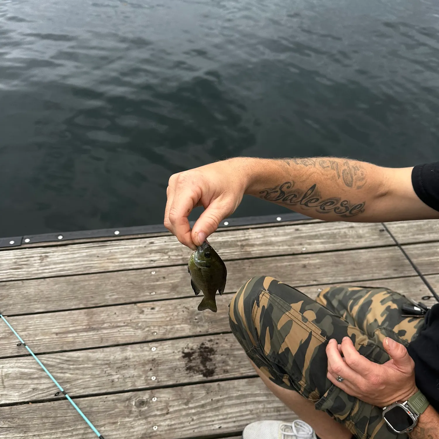 recently logged catches