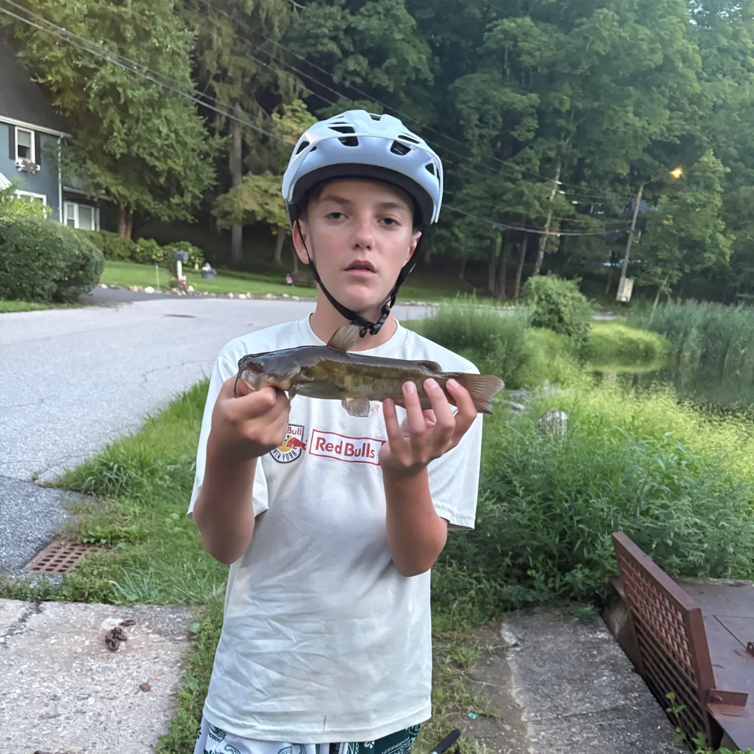 Channel catfish caught on Fishbrain