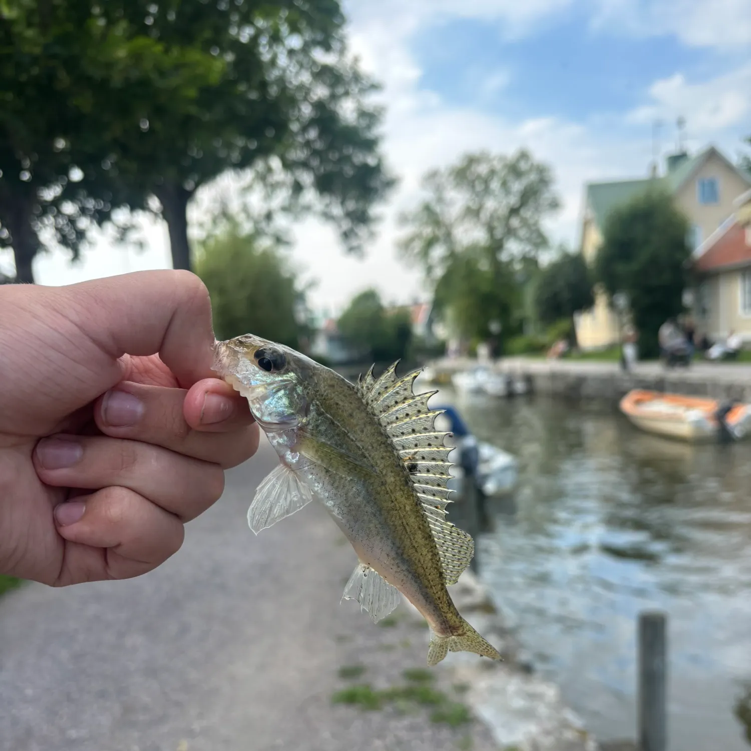 catch