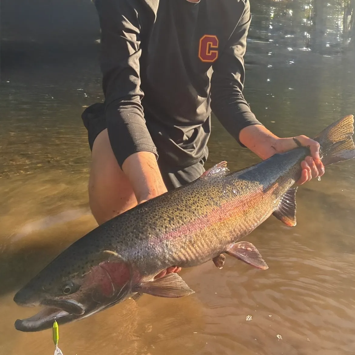 Steelhead caught on Fishbrain