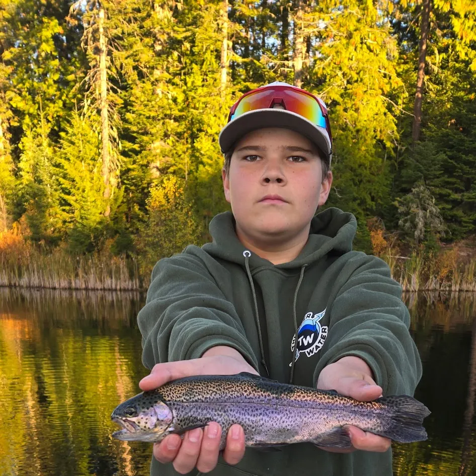 Rainbow trout caught on Fishbrain