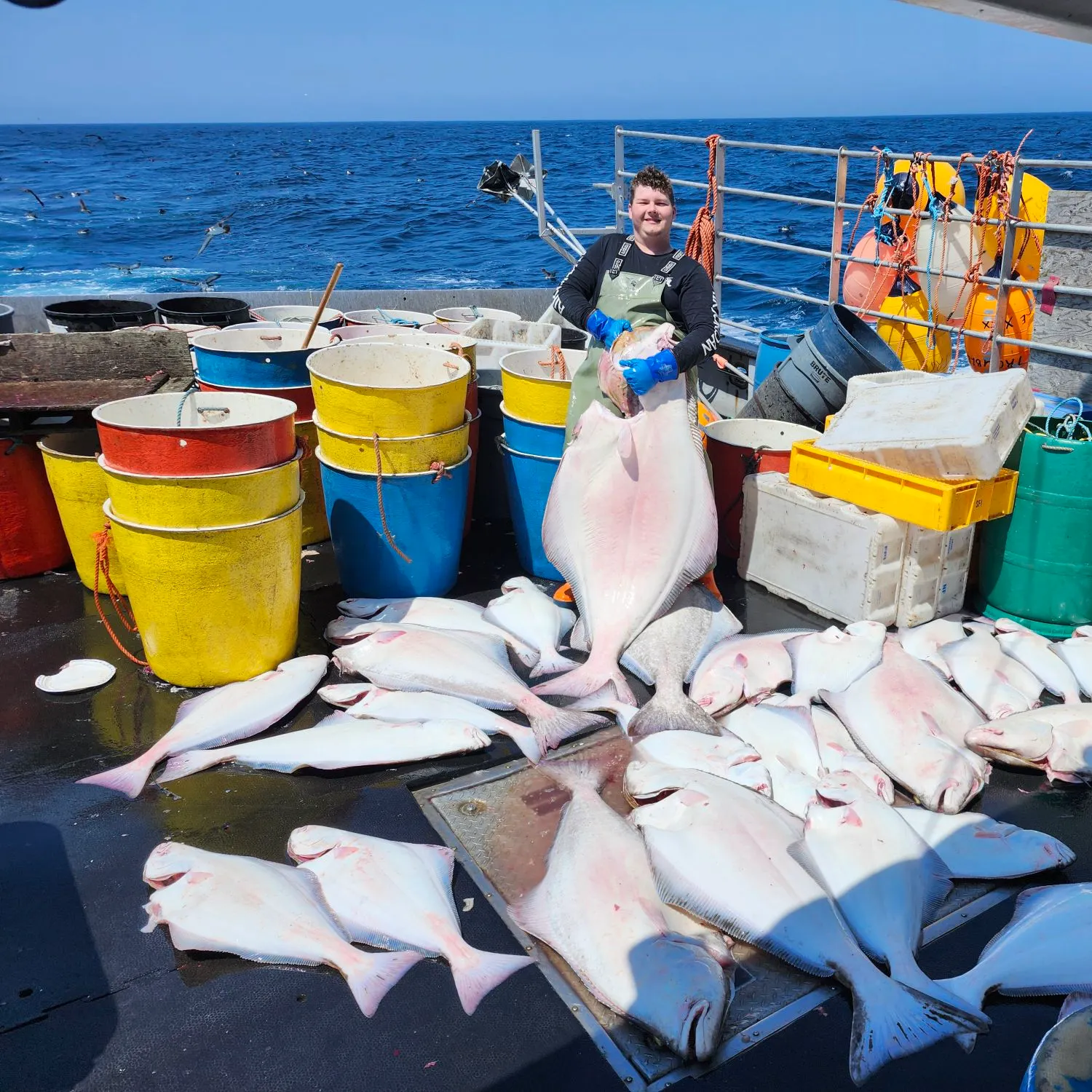The most recent Atlantic halibut catches on Fishbrain