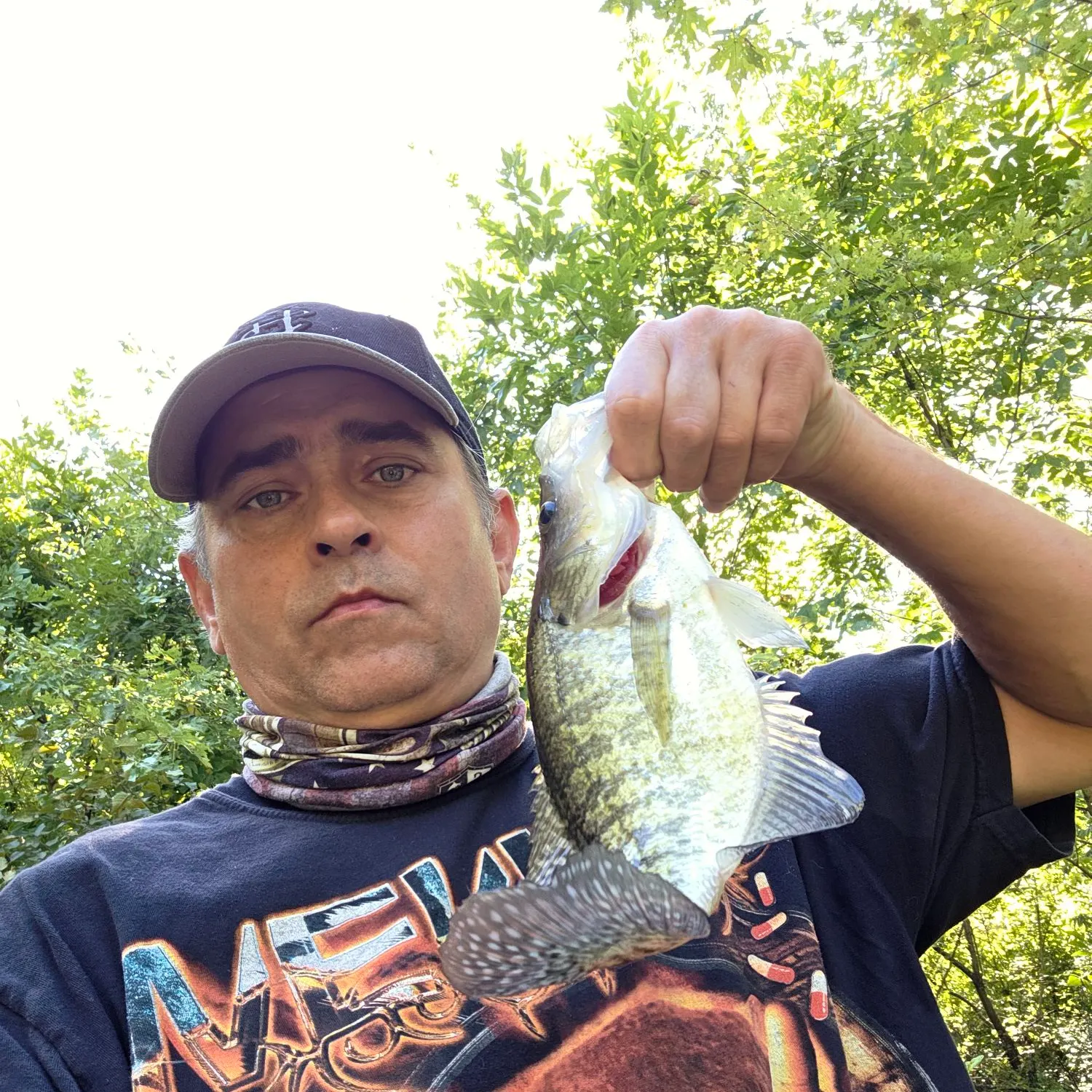 White crappie caught on Fishbrain