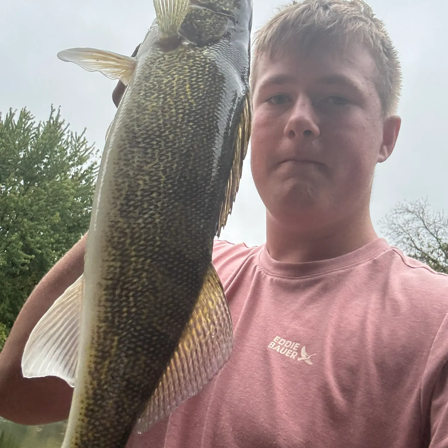 Walleye caught on Fishbrain