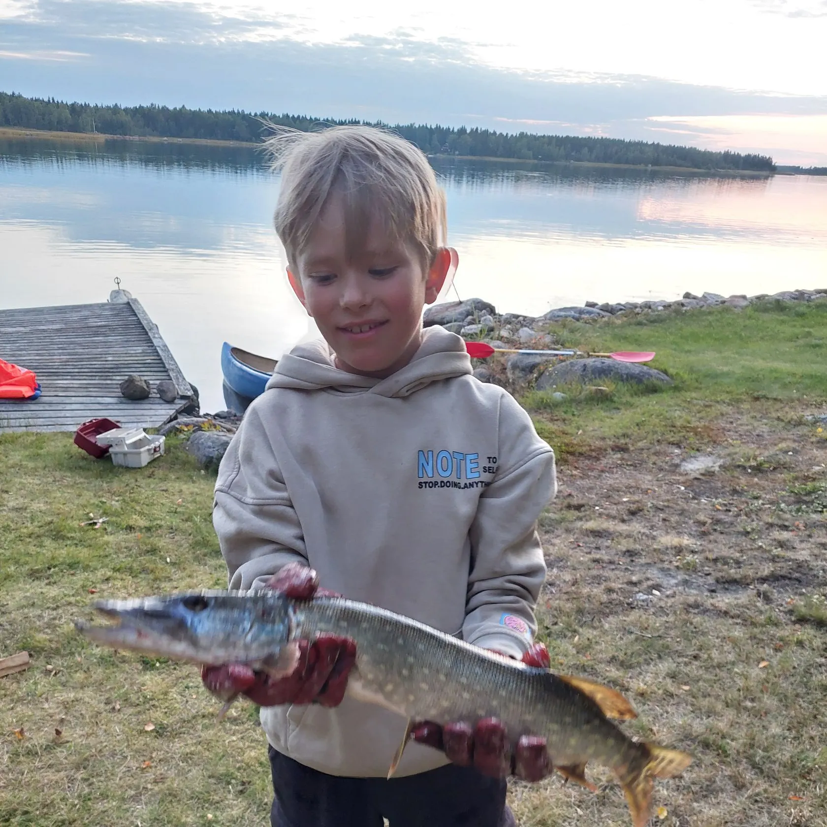 Northern pike caught on Fishbrain