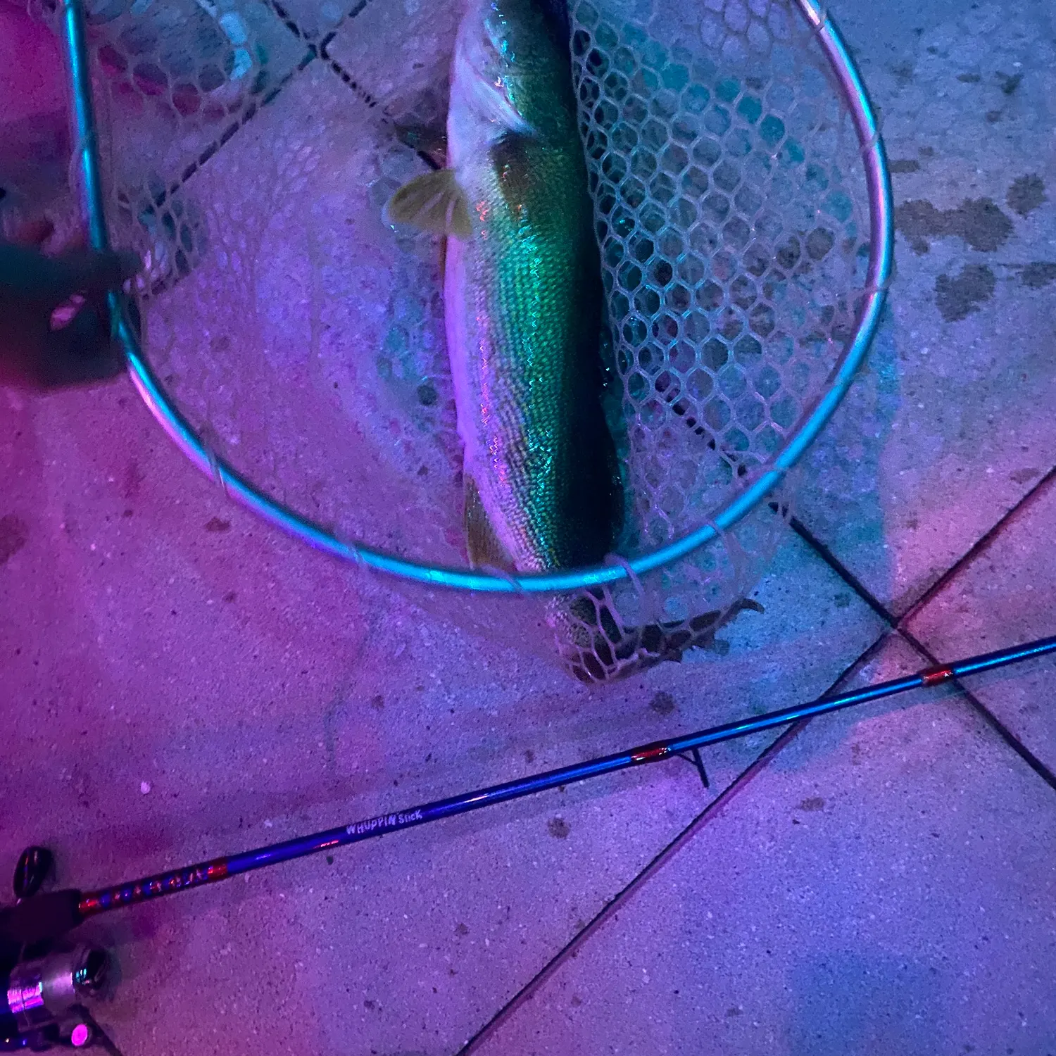 most liked catch image