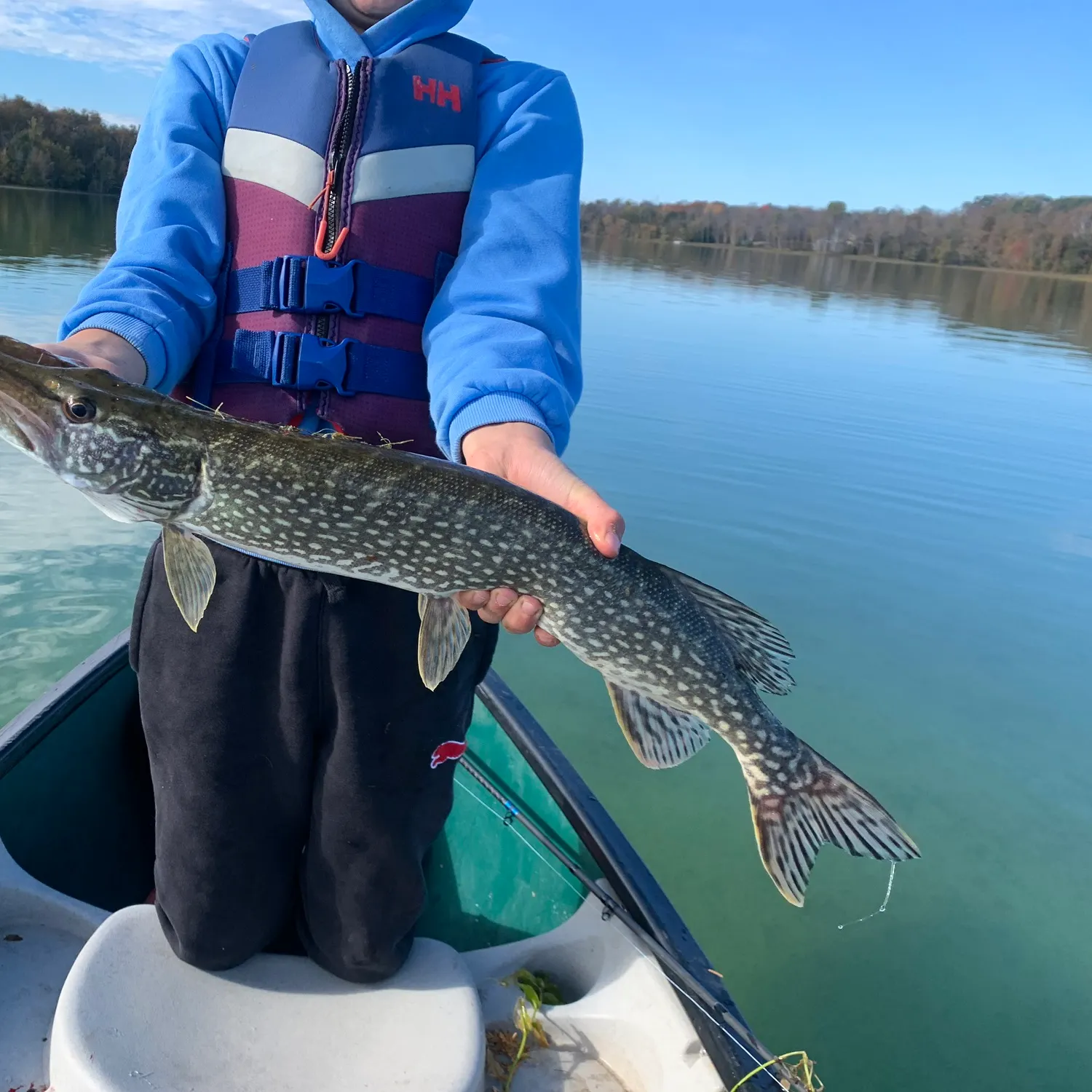 Northern pike caught on Fishbrain
