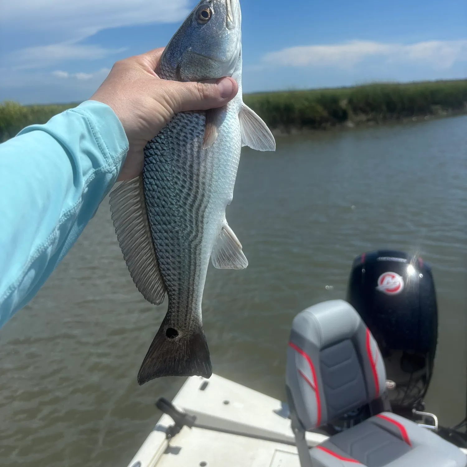 Red drum caught on Fishbrain