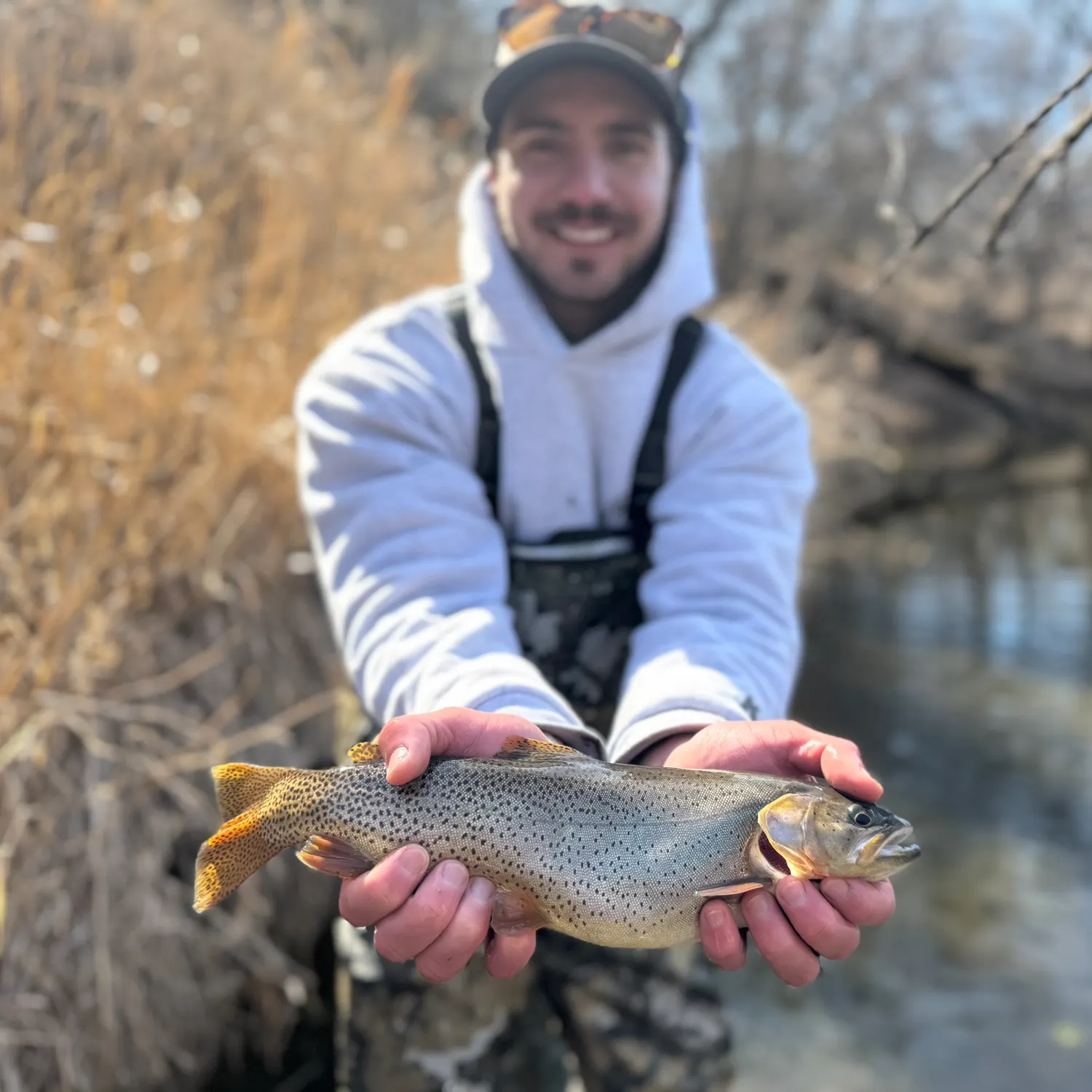 The most popular recent Snake River fine-spotted cutthroat trout catch on Fishbrain