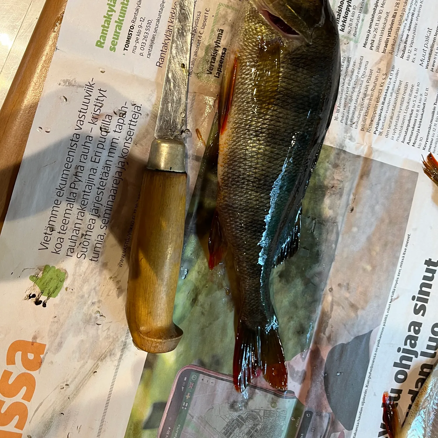 recently logged catches