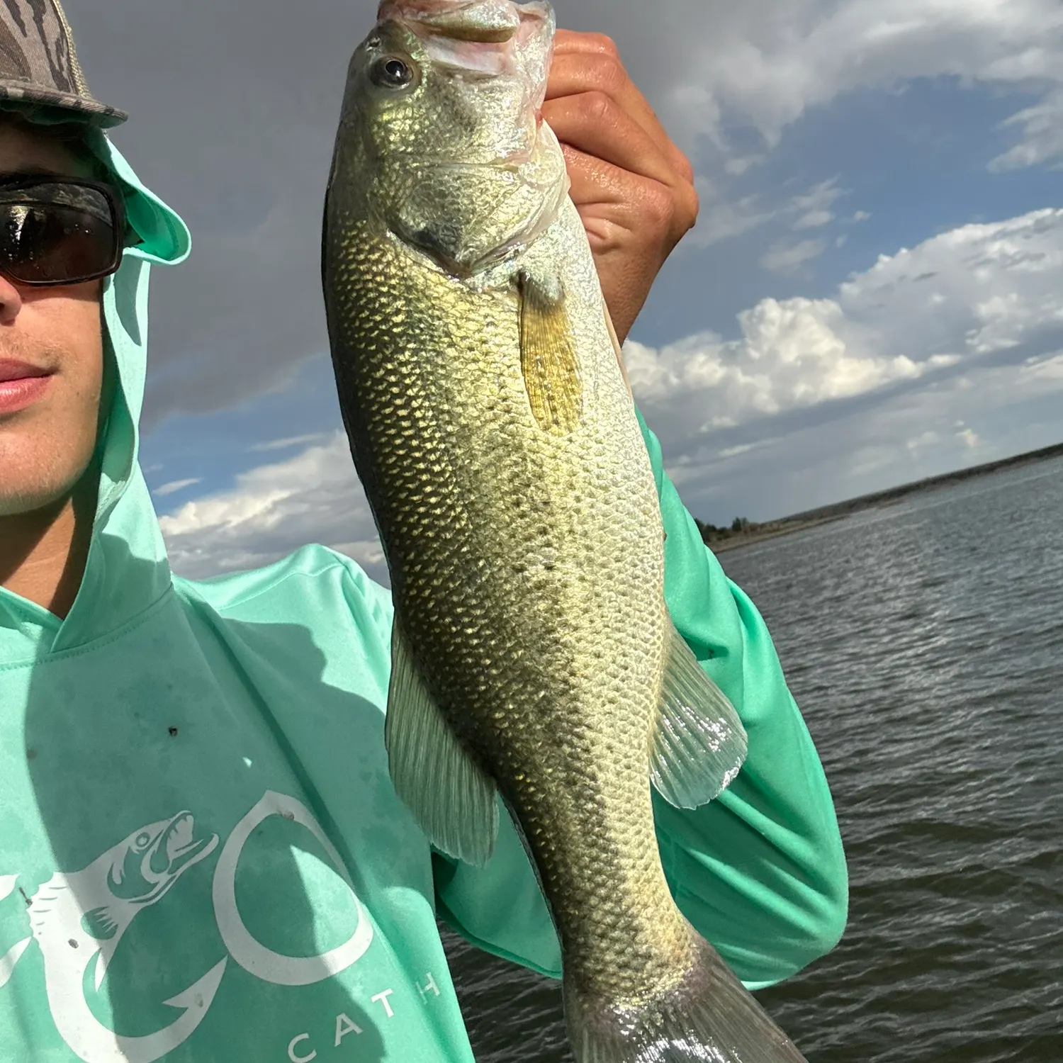 Spotted bass caught on Fishbrain