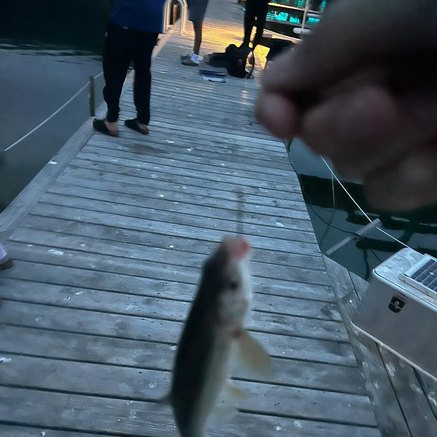 catch