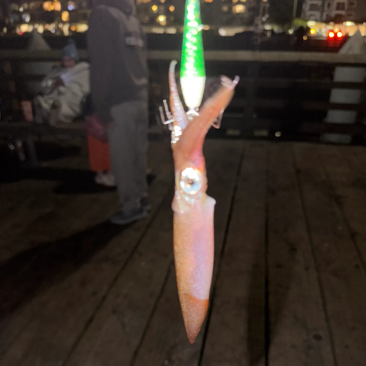 The most recent Market squid catches on Fishbrain