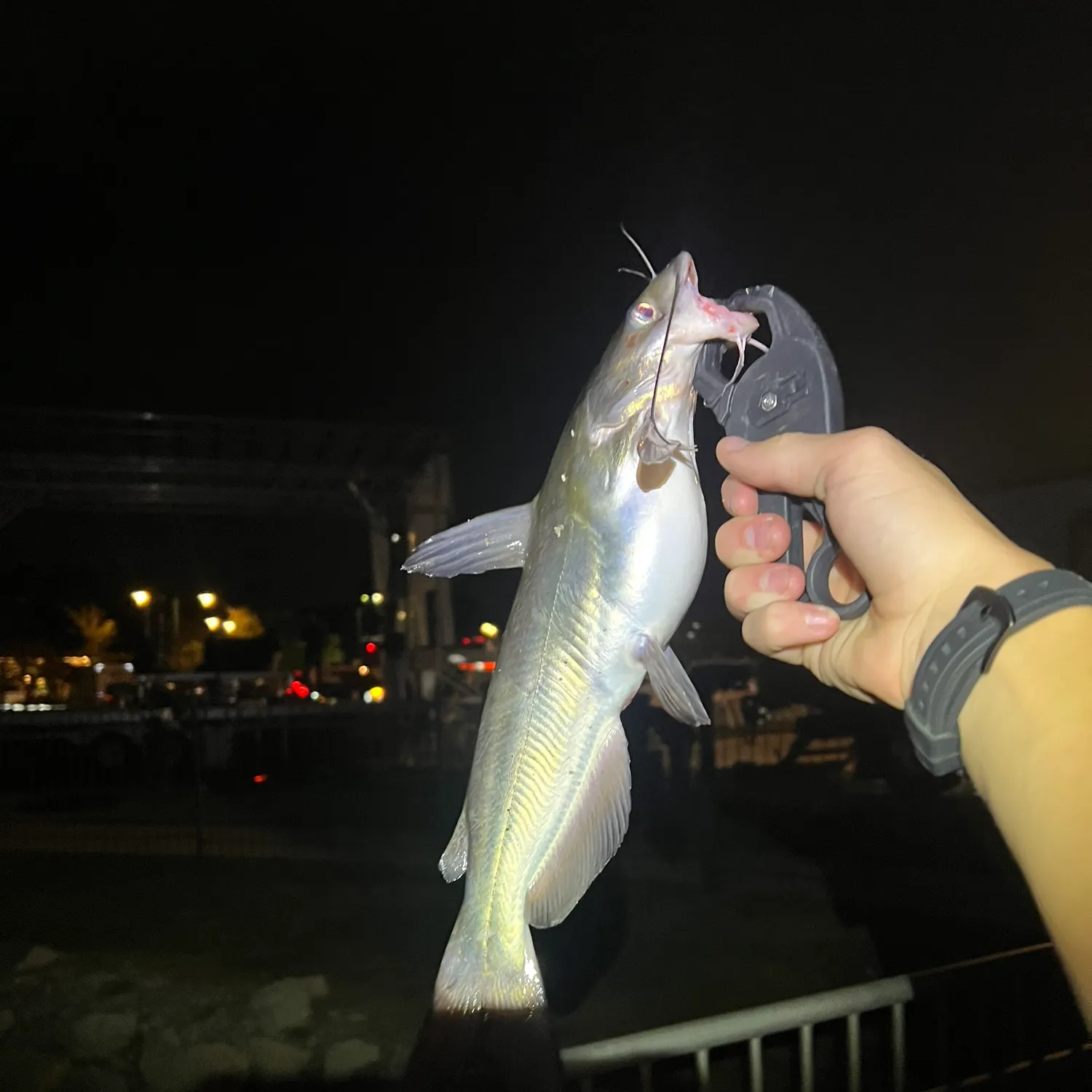 catch