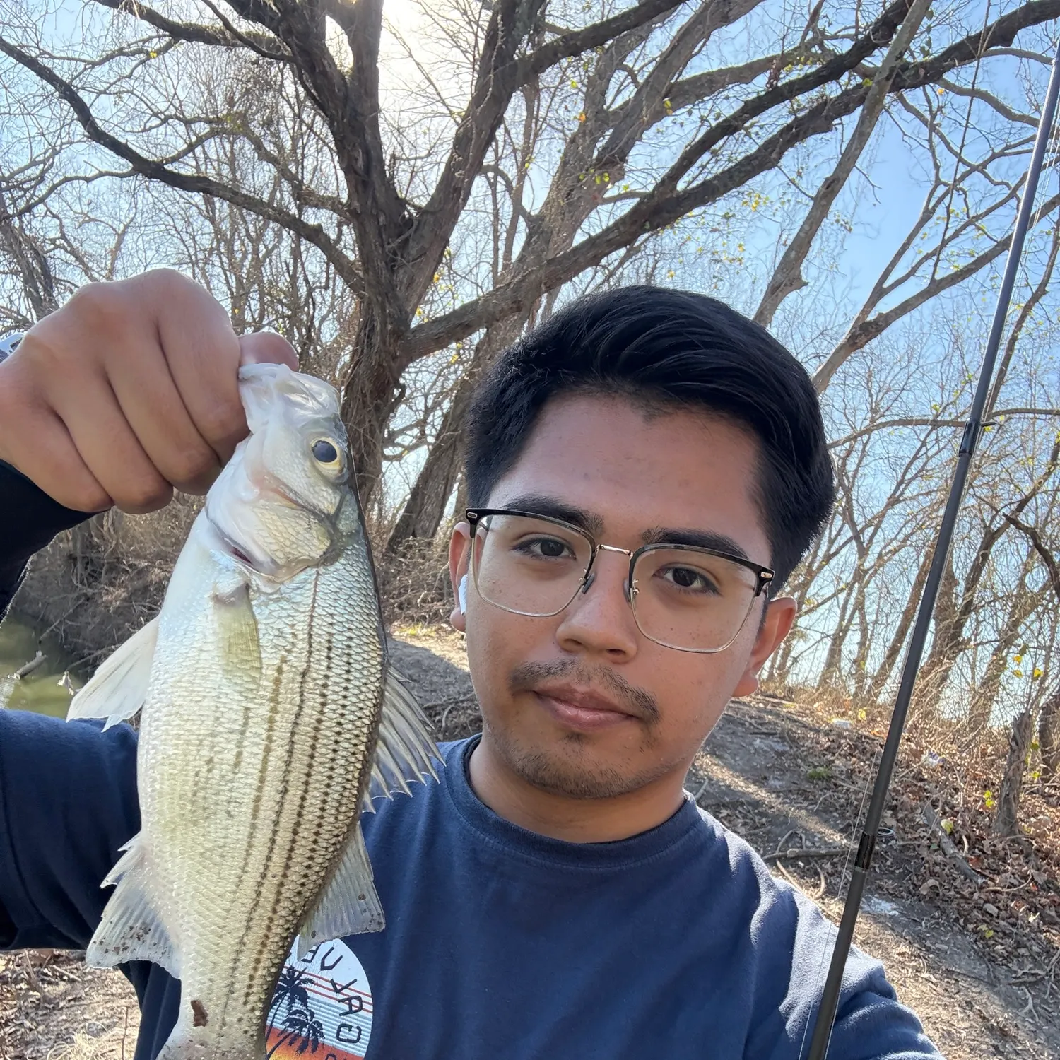 The most recent White bass catches on Fishbrain