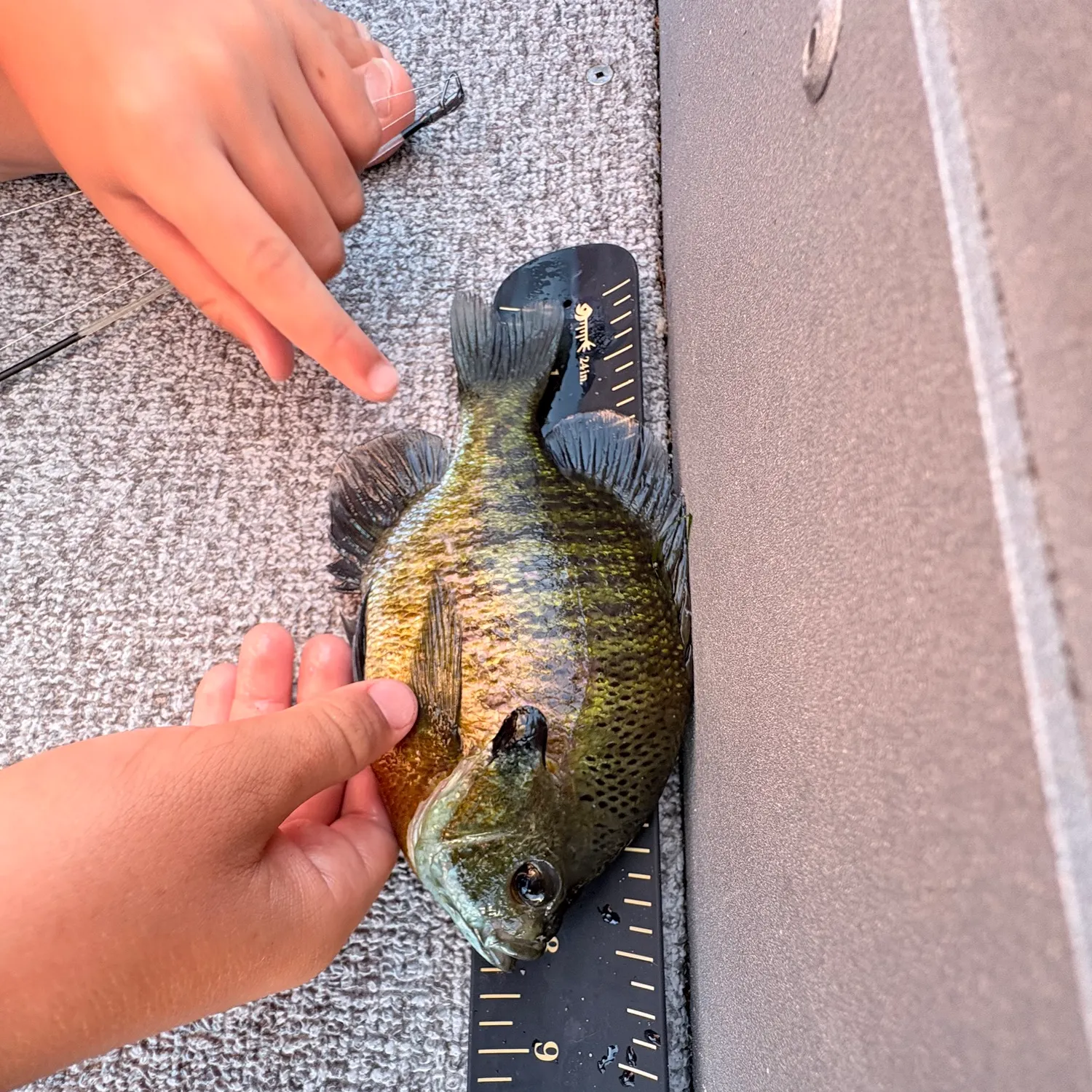 catch