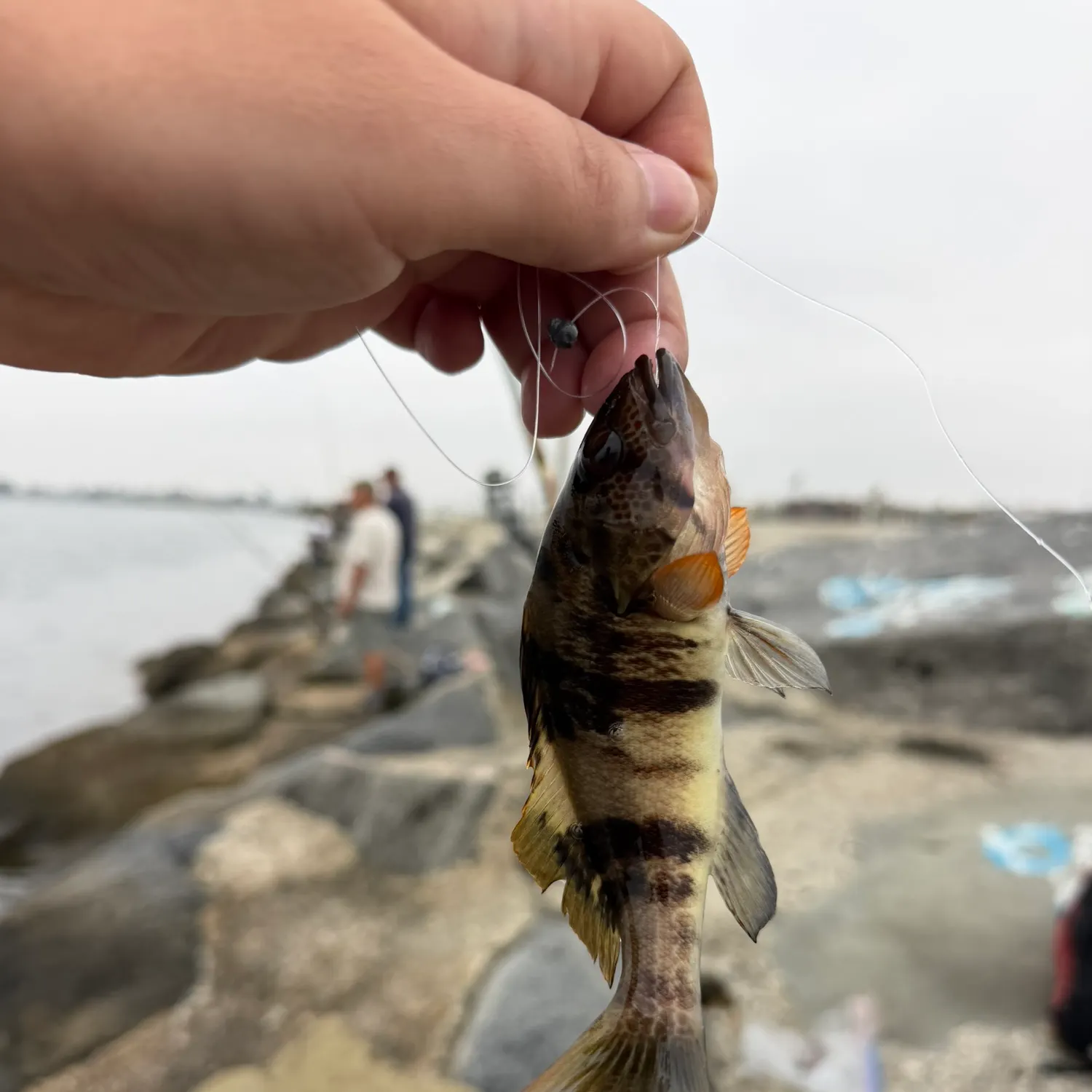 catch