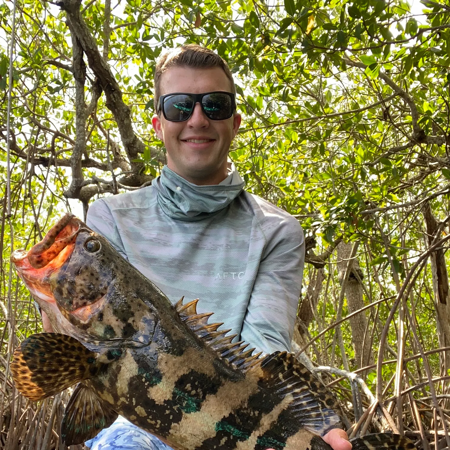 The most recent Atlantic goliath grouper catches on Fishbrain