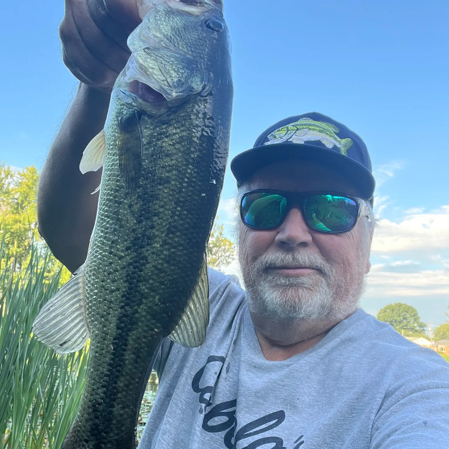 Largemouth bass caught on Fishbrain