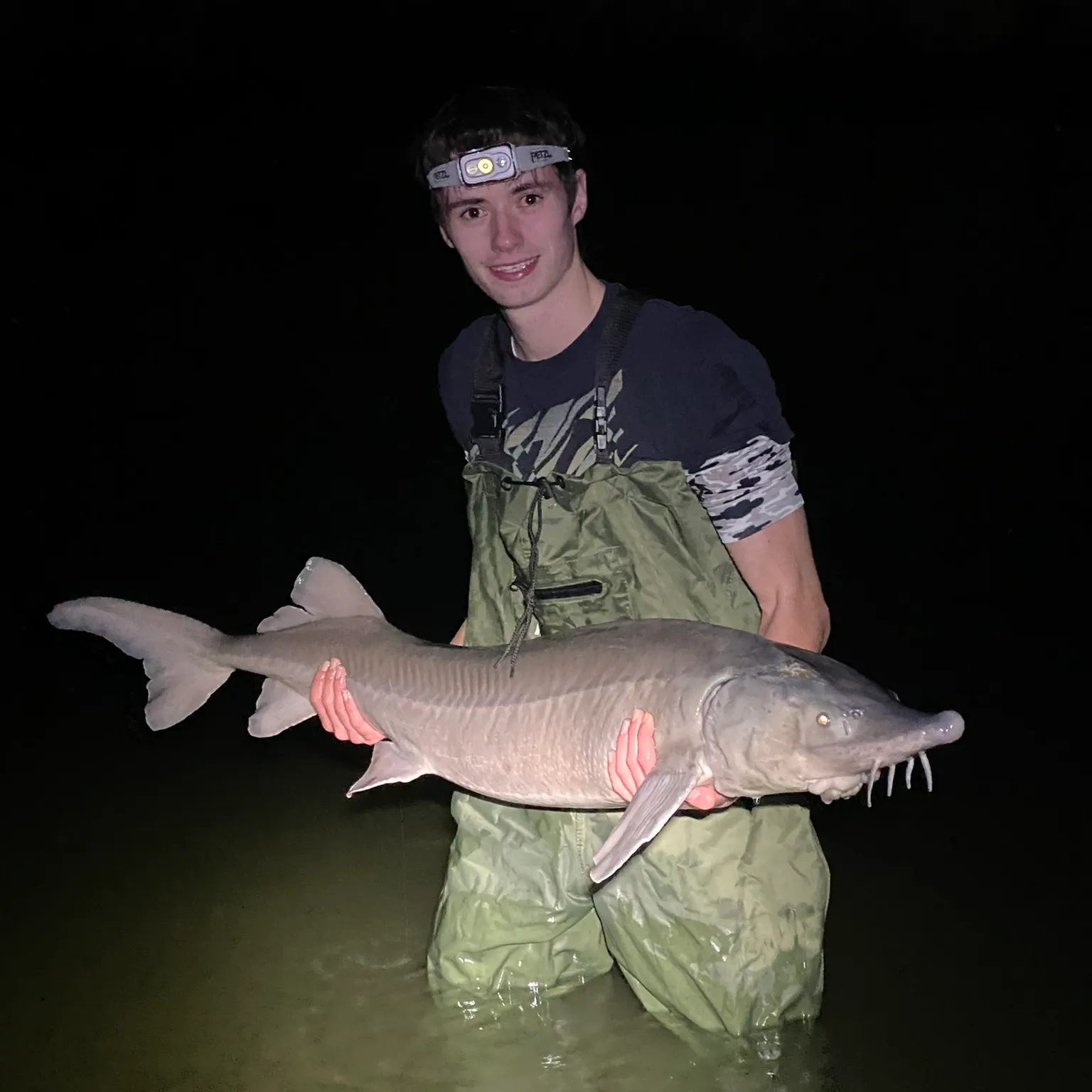 The most recent Siberian sturgeon catches on Fishbrain