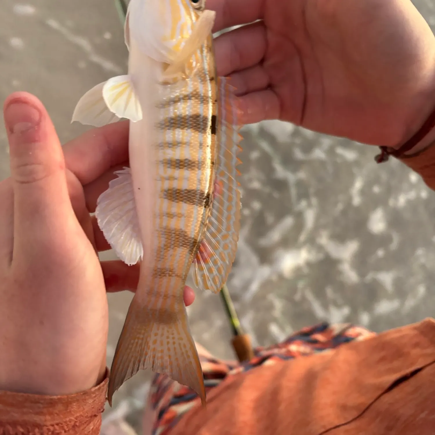 most liked catch image