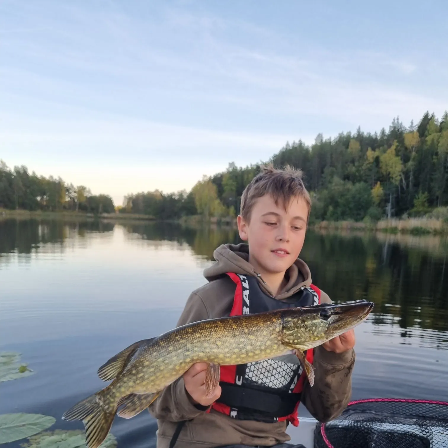 Northern pike caught on Fishbrain