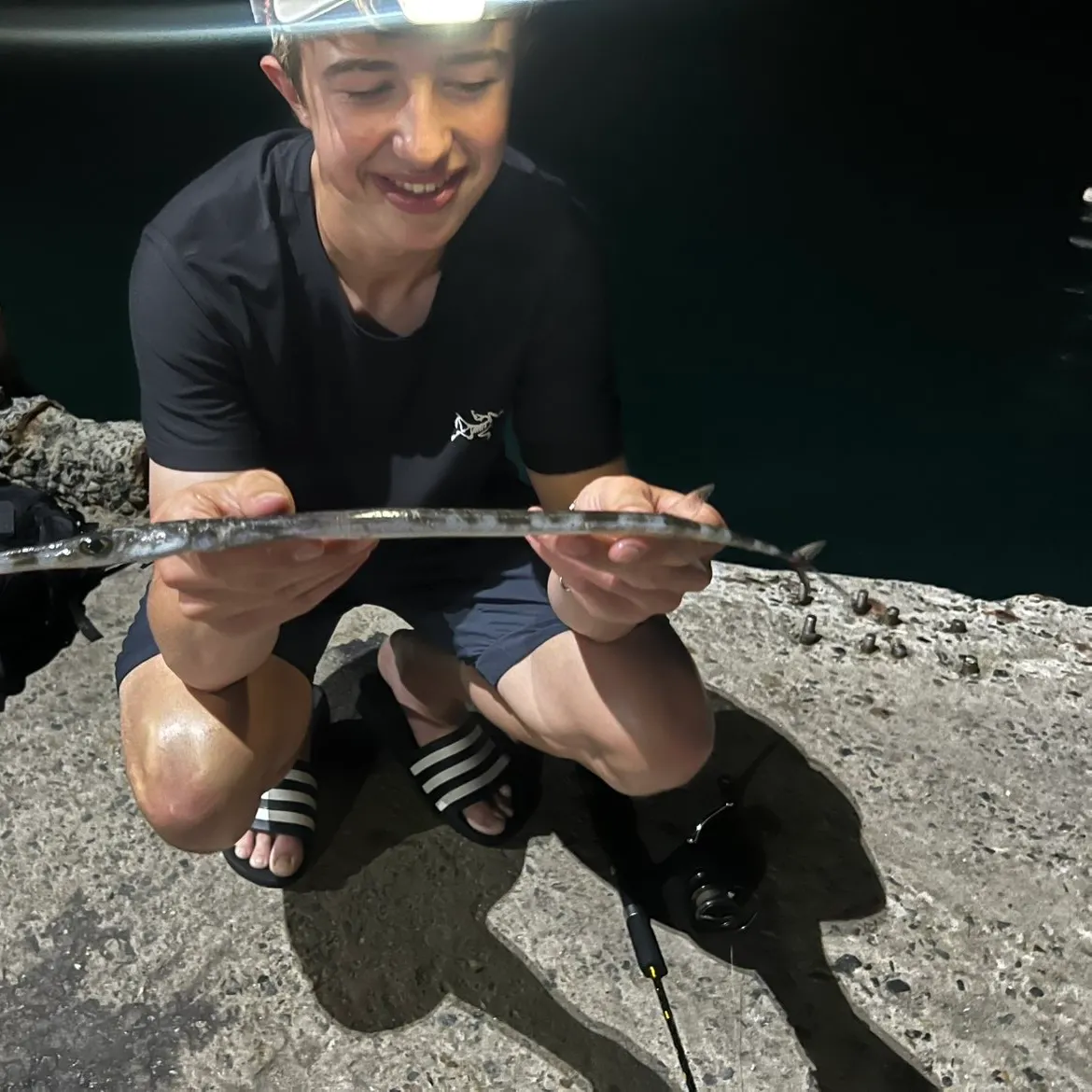 The most recent Bluespotted cornetfish catches on Fishbrain