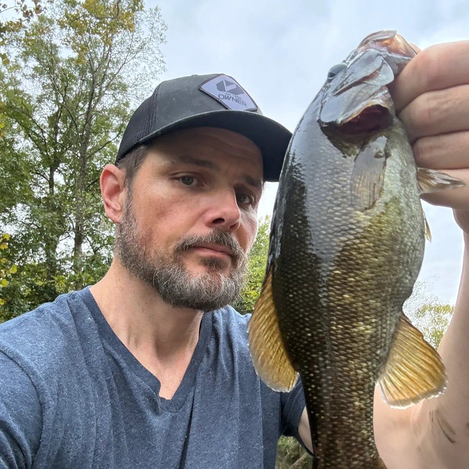 Smallmouth bass caught on Fishbrain