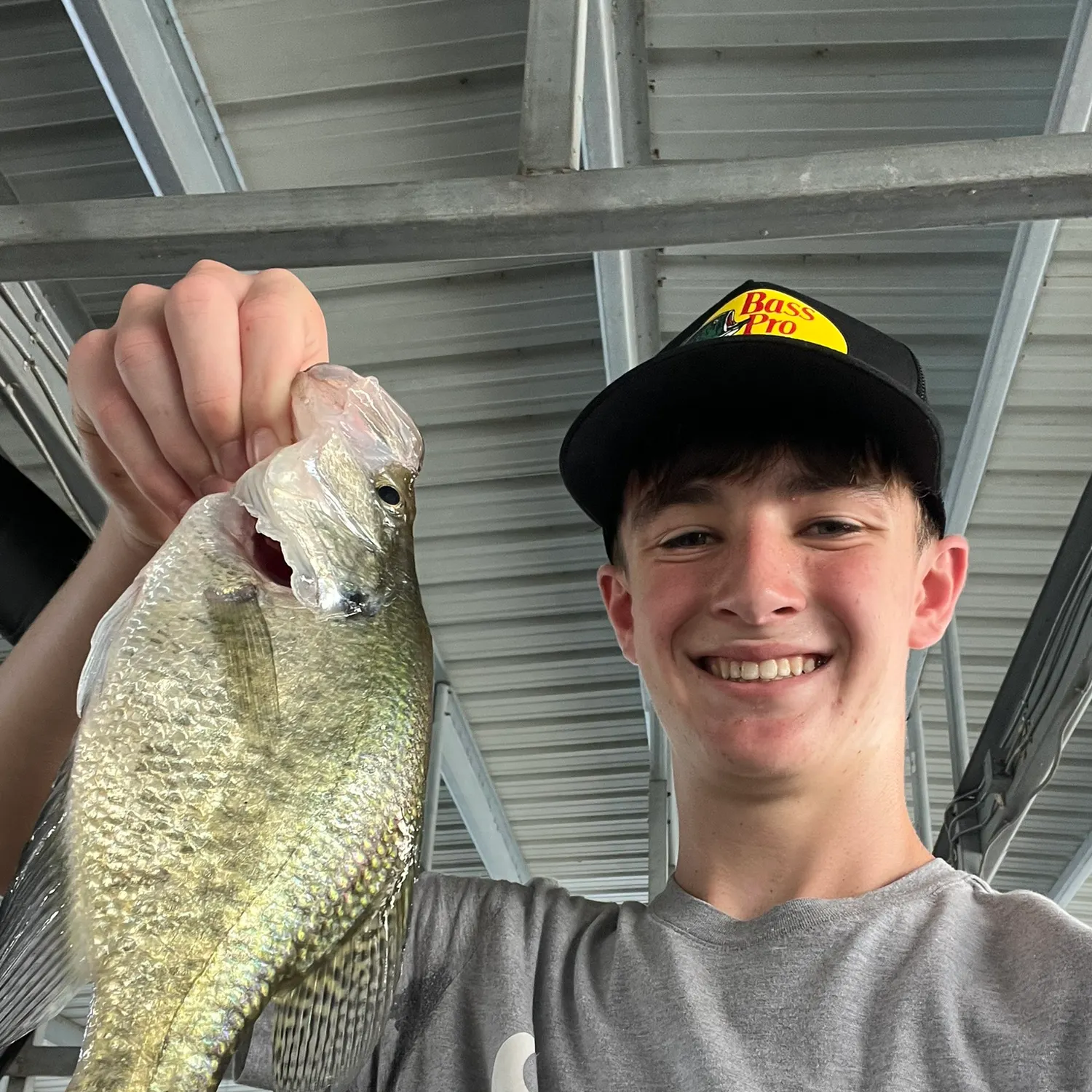 White crappie caught on Fishbrain