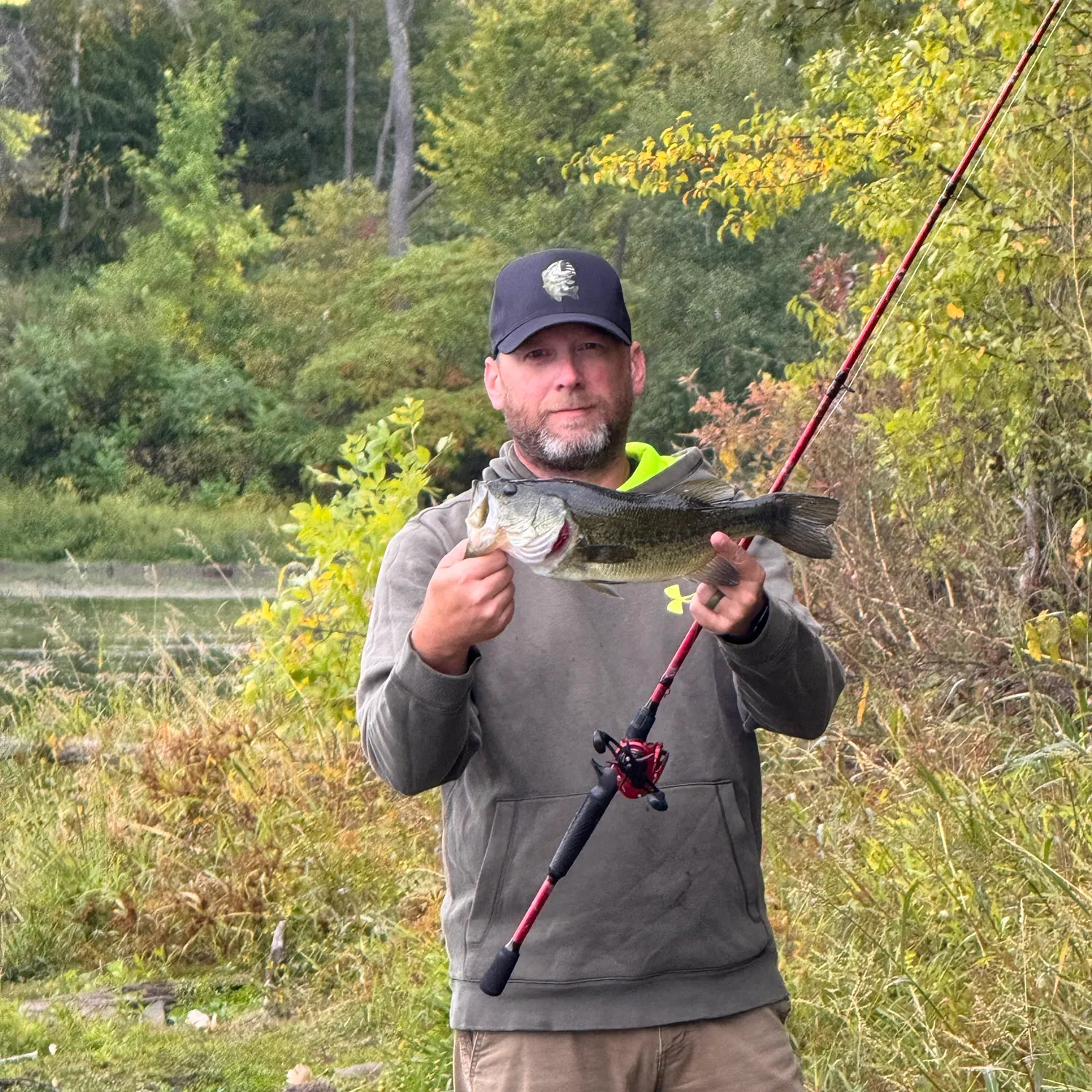Largemouth bass caught on Fishbrain