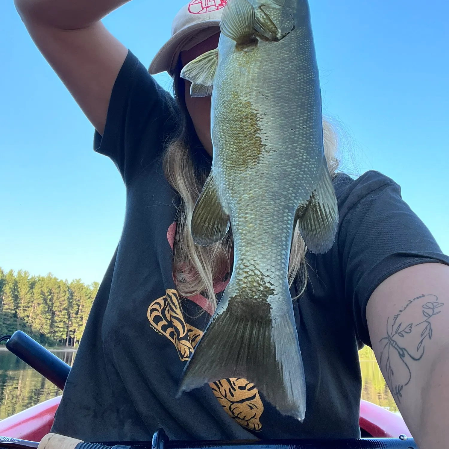 Smallmouth bass caught on Fishbrain