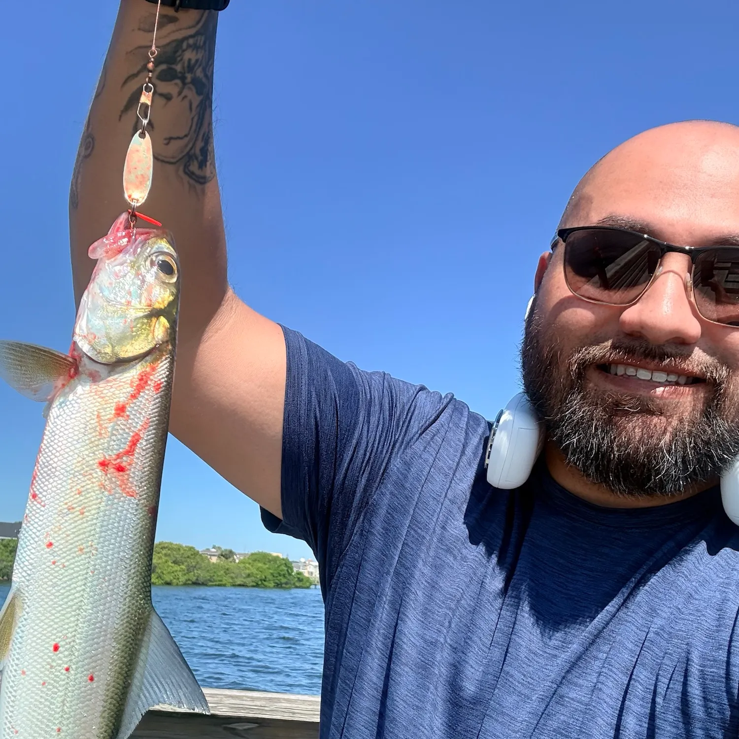 The most recent Ladyfish catches on Fishbrain