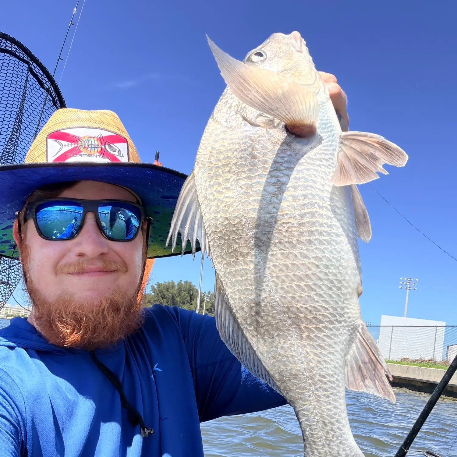 The most recent Black drum catches on Fishbrain