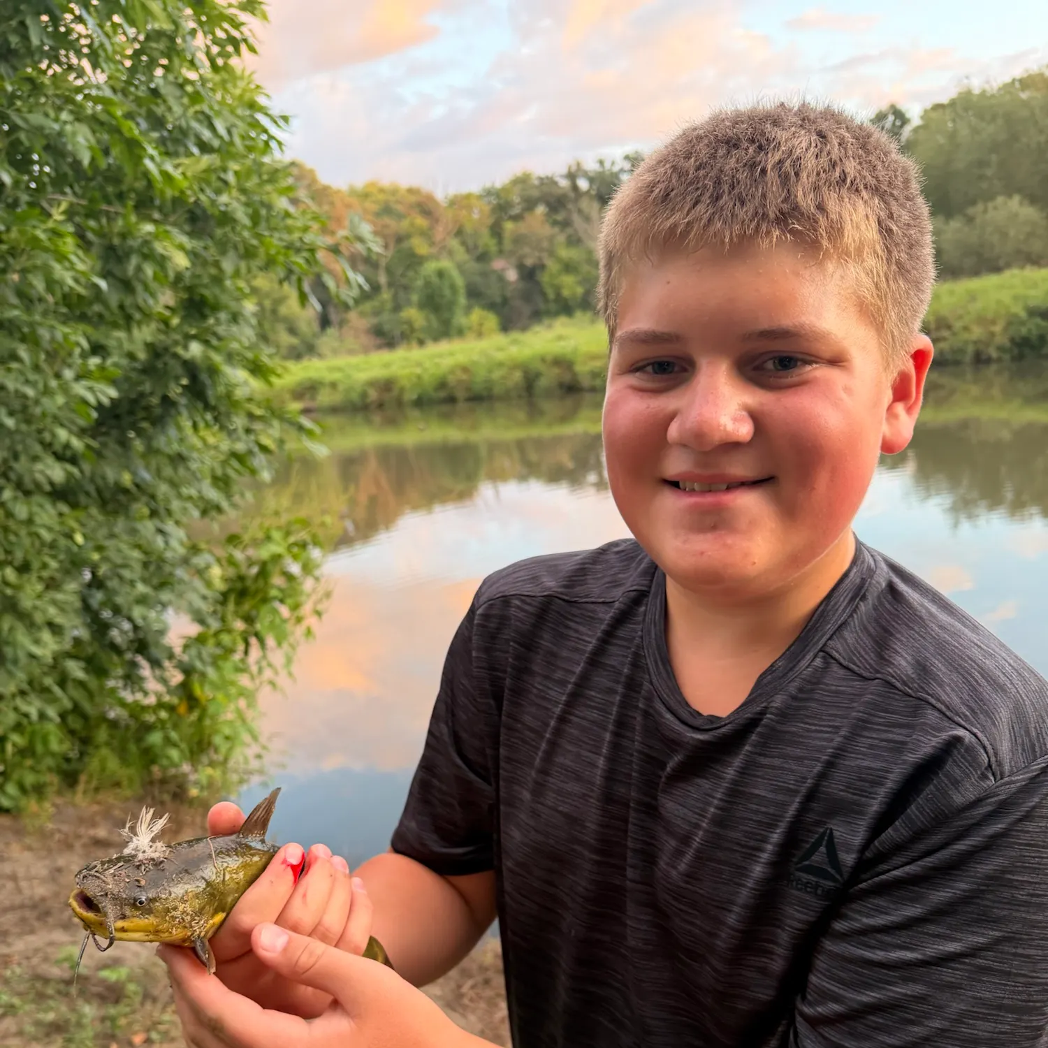 Yellow bullhead caught on Fishbrain