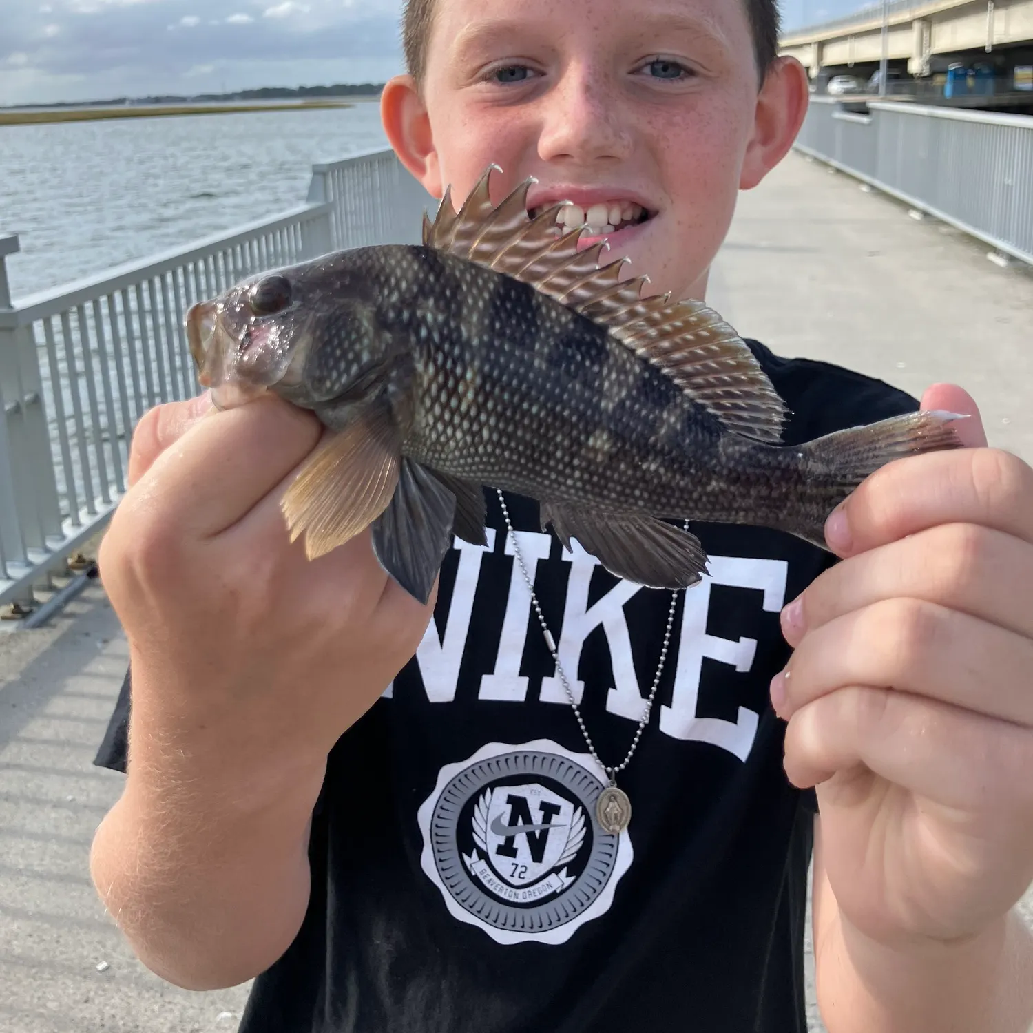 Black sea bass caught on Fishbrain