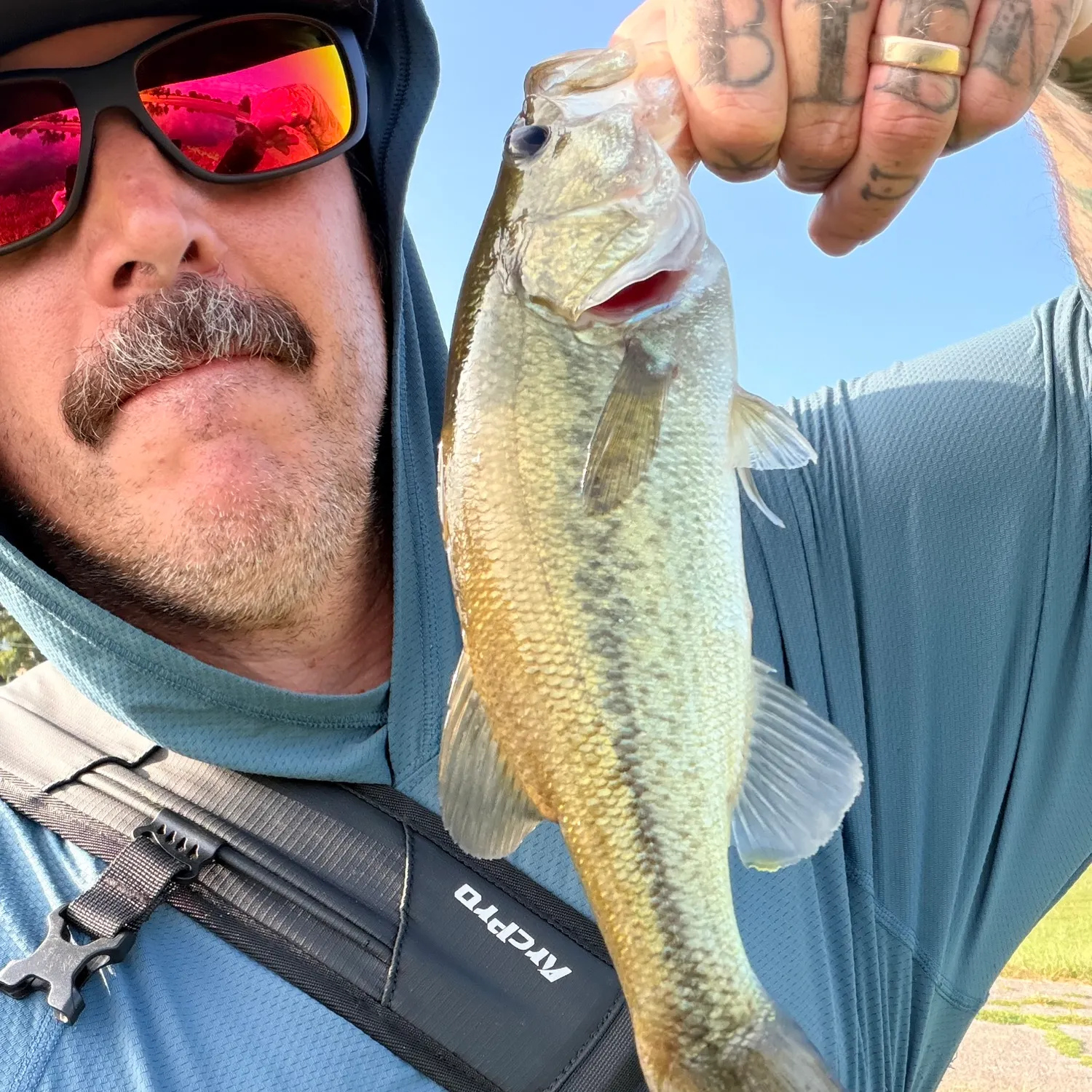 Largemouth bass caught on Fishbrain