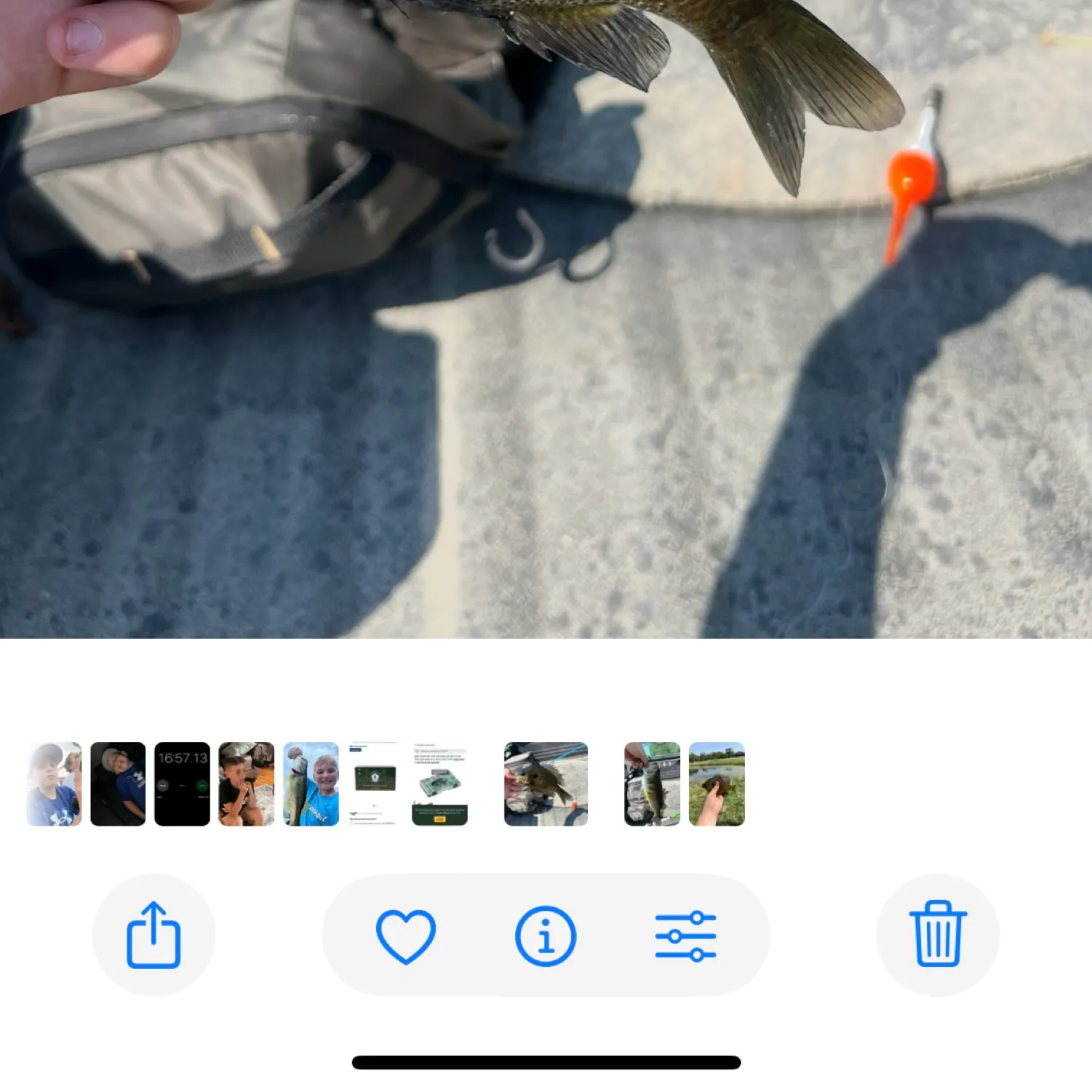 recently logged catches