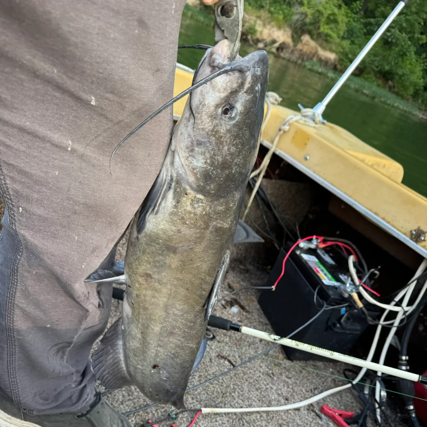 catch