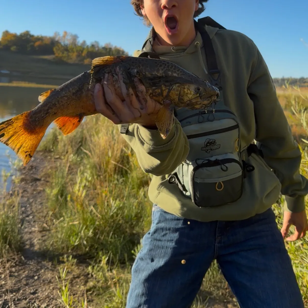Tiger trout caught on Fishbrain