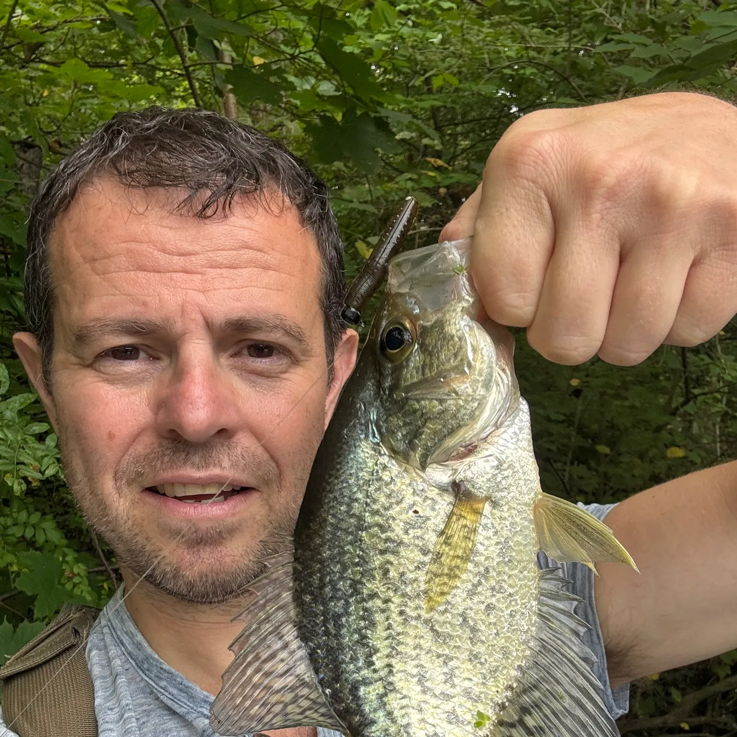Black crappie caught on Fishbrain