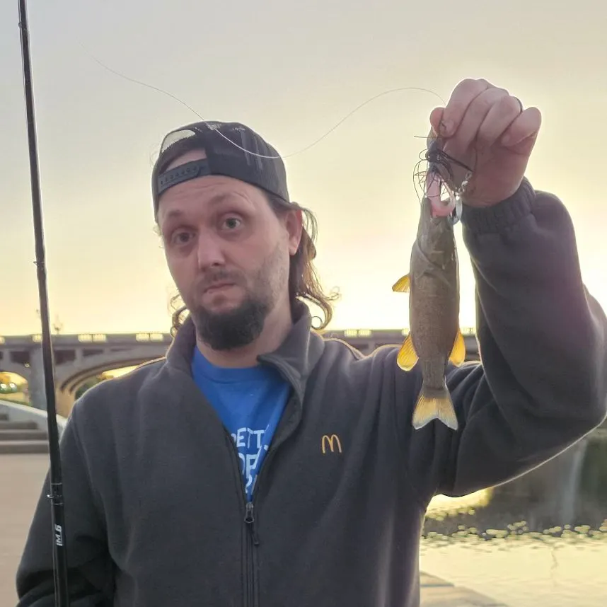 Smallmouth bass caught on Fishbrain