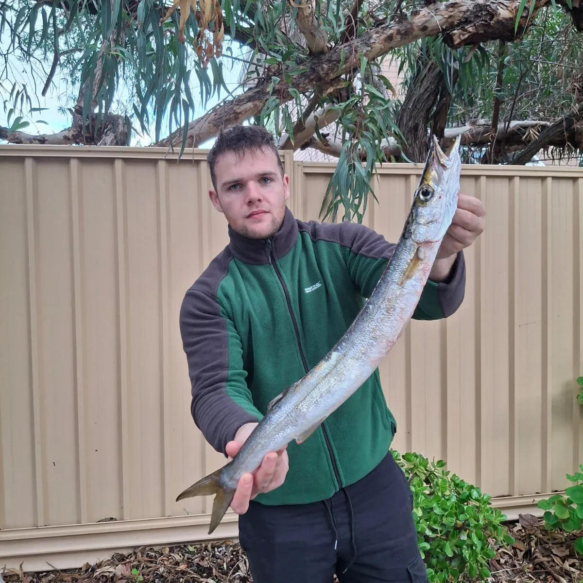 The most recent Snoek catches on Fishbrain